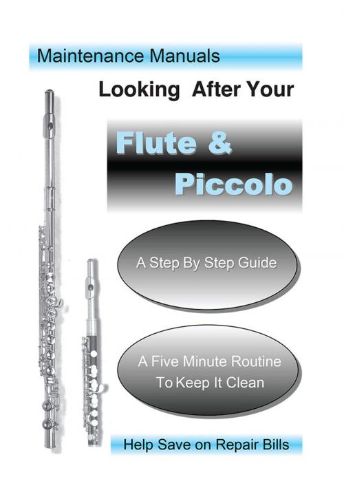 Cover of the book Looking After Your Flute and Piccolo by Steve Salmon, Trafford Publishing