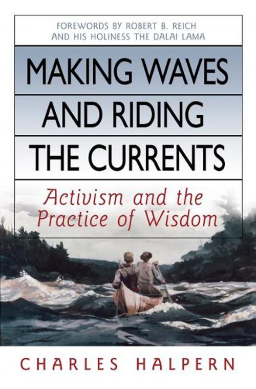 Cover of the book Making Waves and Riding the Currents by Charles Halpern, Berrett-Koehler Publishers