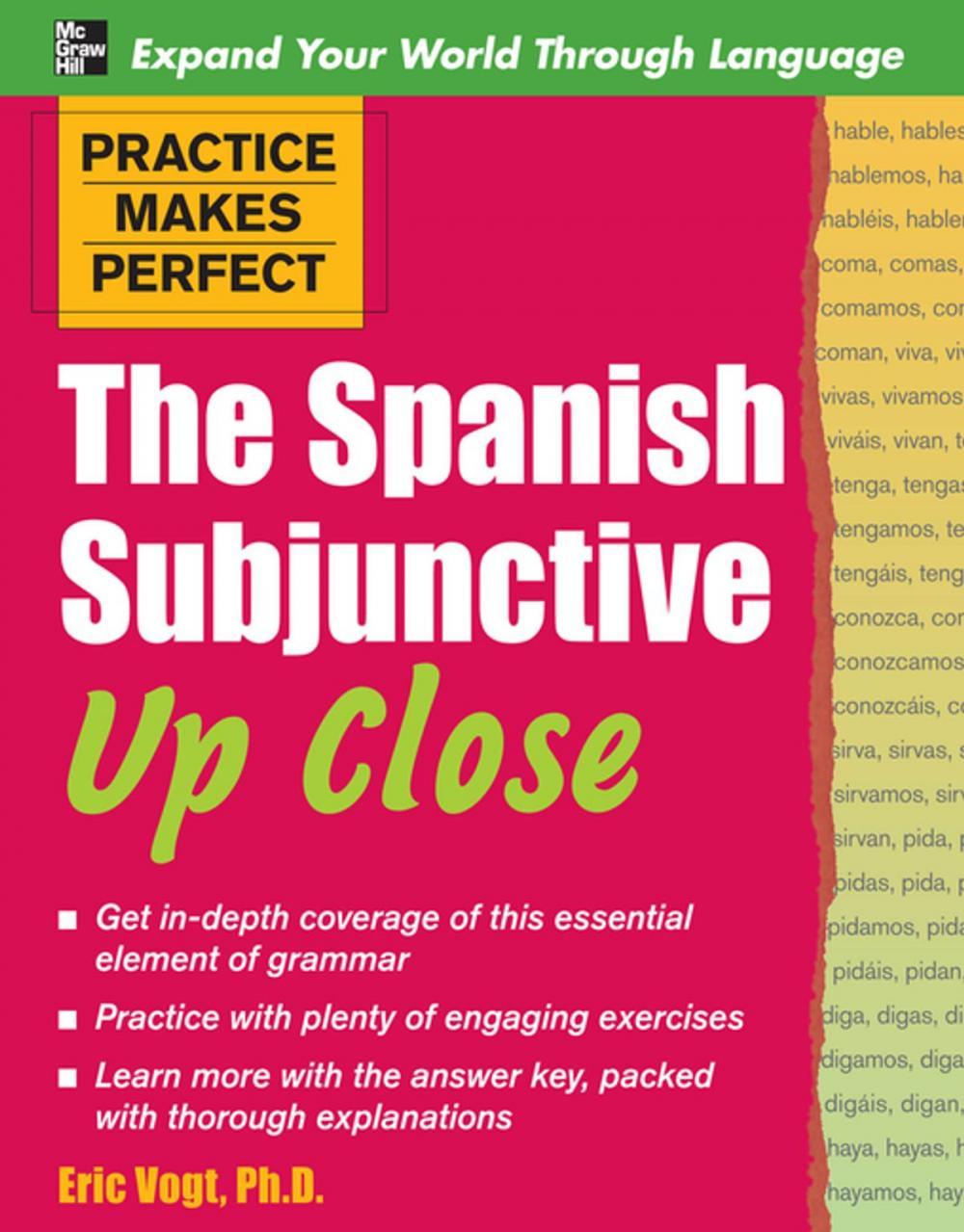 Big bigCover of Practice Makes Perfect: The Spanish Subjunctive Up Close