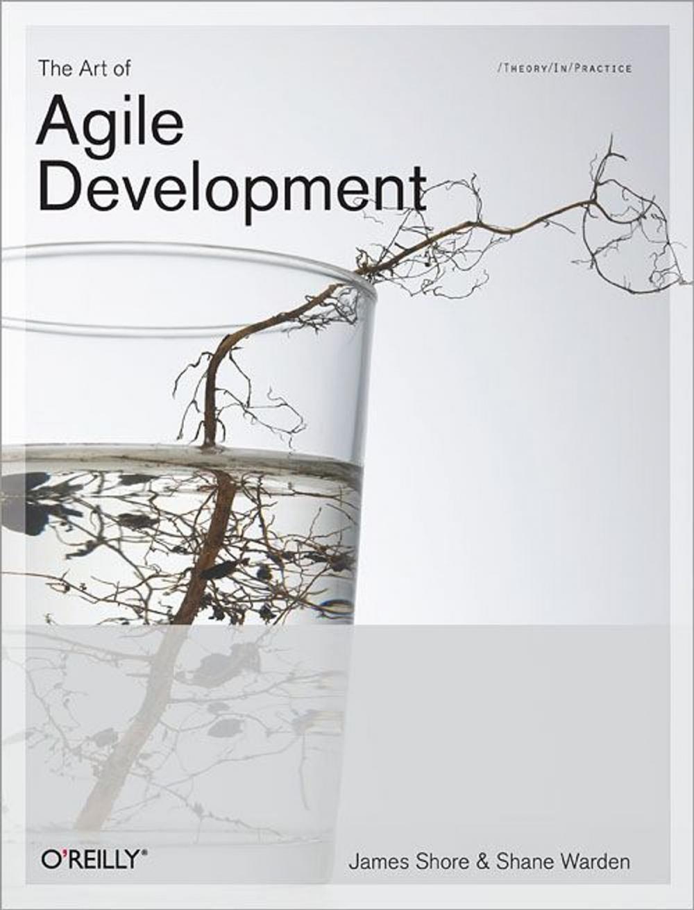 Big bigCover of The Art of Agile Development