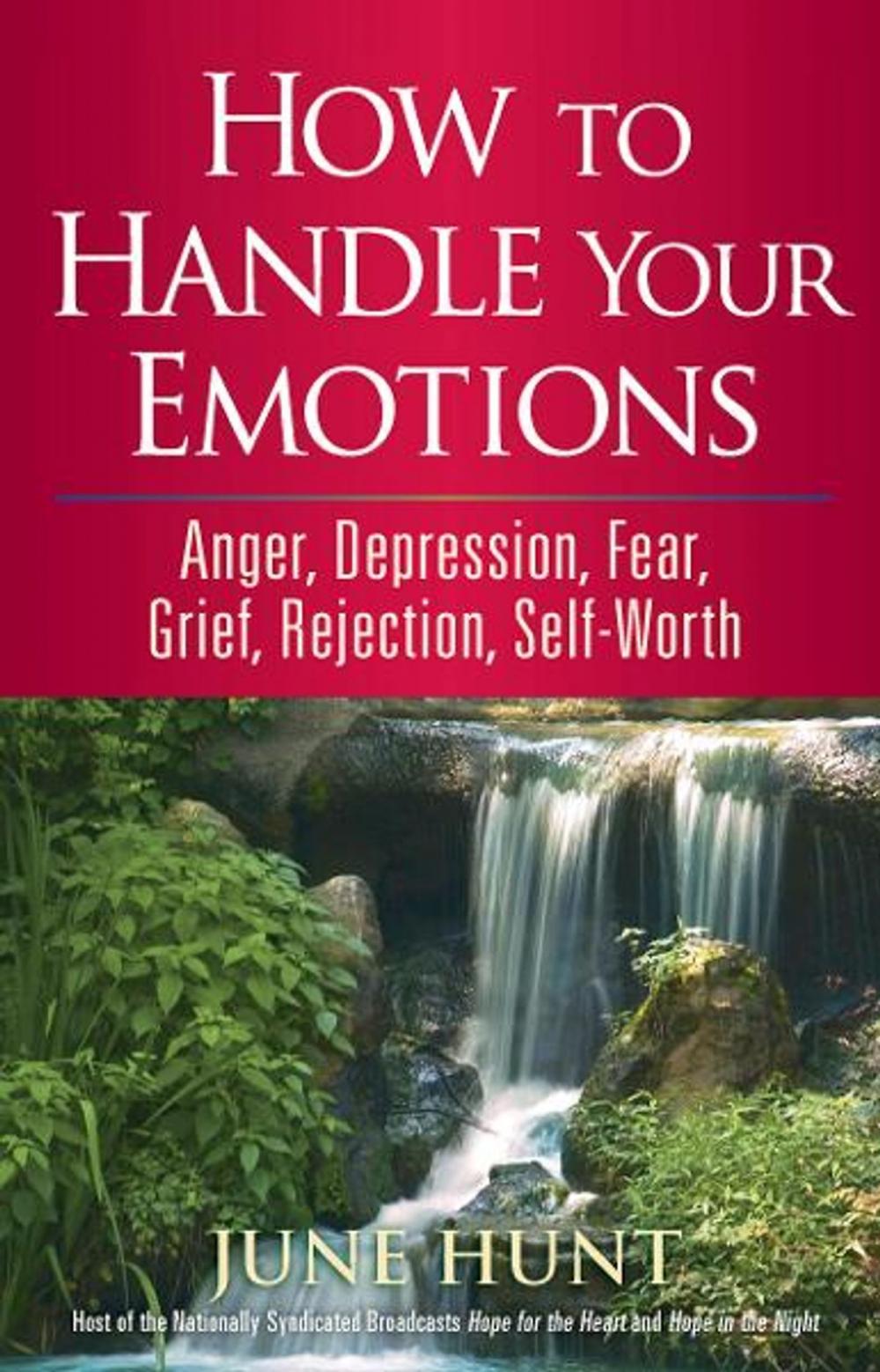 Big bigCover of How to Handle Your Emotions