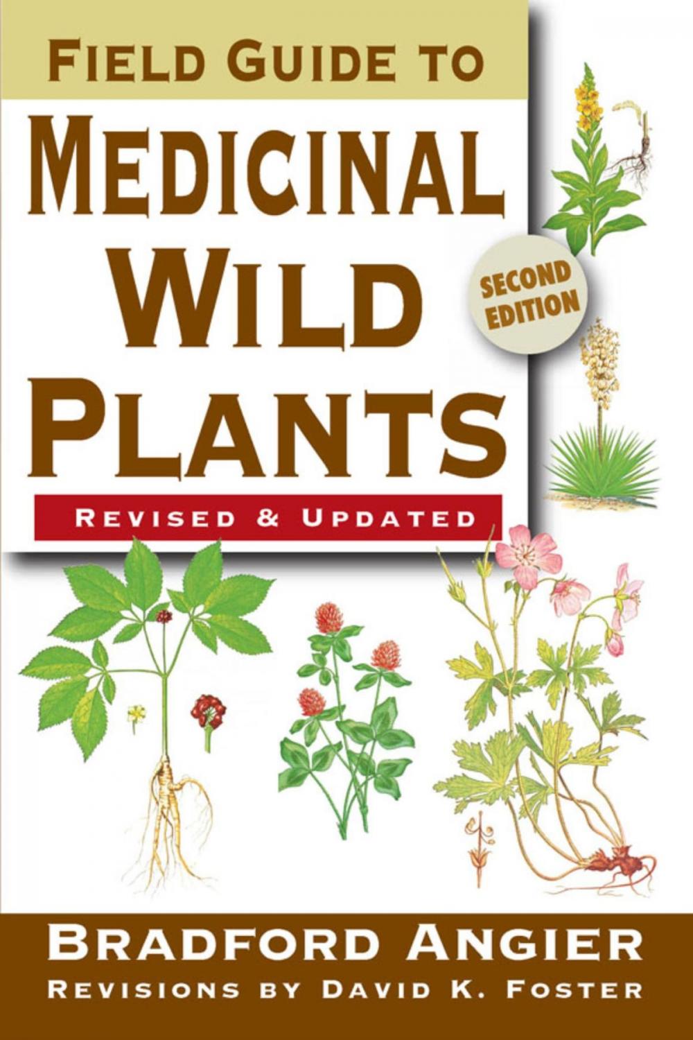 Big bigCover of Field Guide to Medicinal Wild Plants