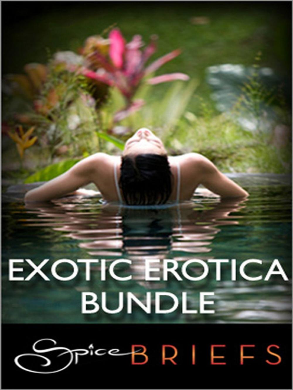 Big bigCover of Exotic Erotica Bundle