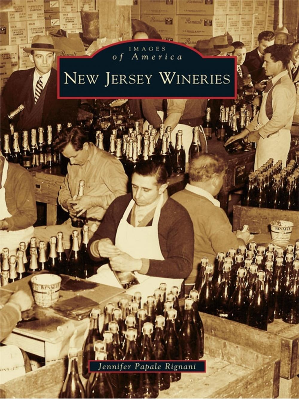 Big bigCover of New Jersey Wineries