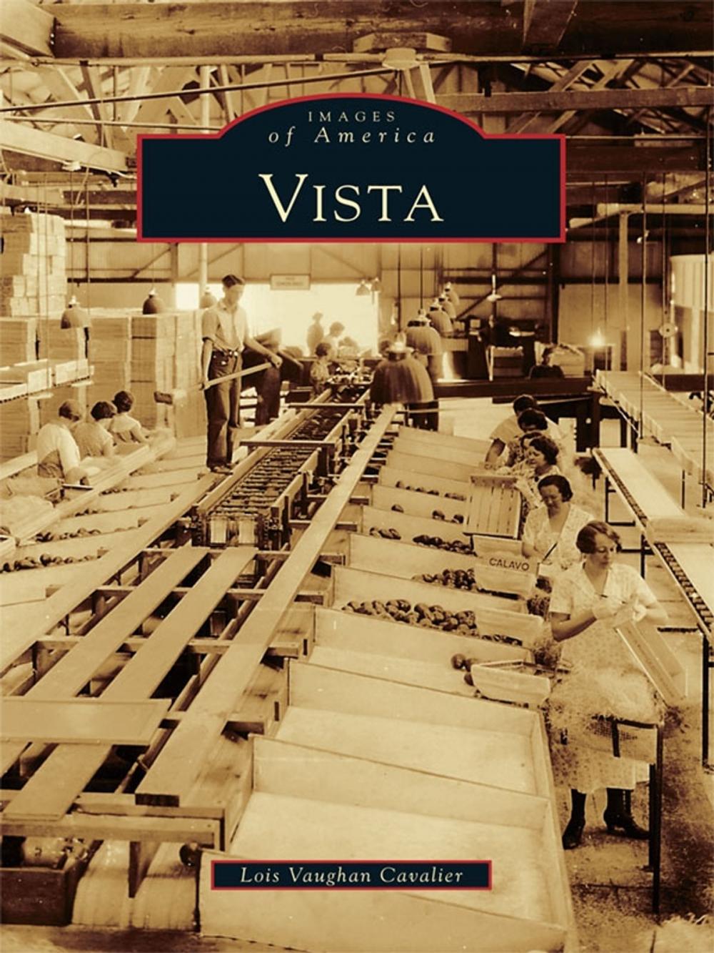 Big bigCover of Vista