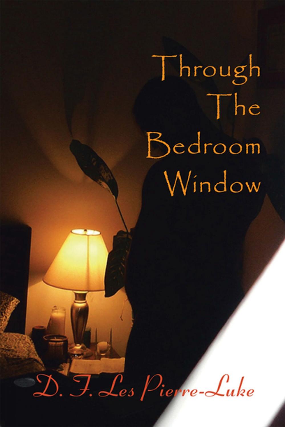 Big bigCover of Through the Bedroom Window