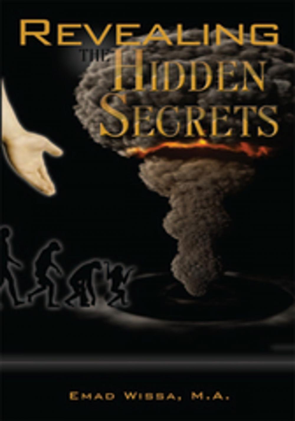 Big bigCover of Revealing the Hidden Secrets