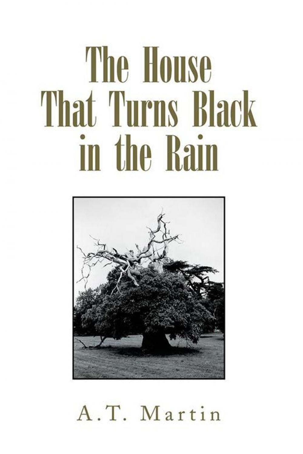 Big bigCover of The House That Turns Black in the Rain