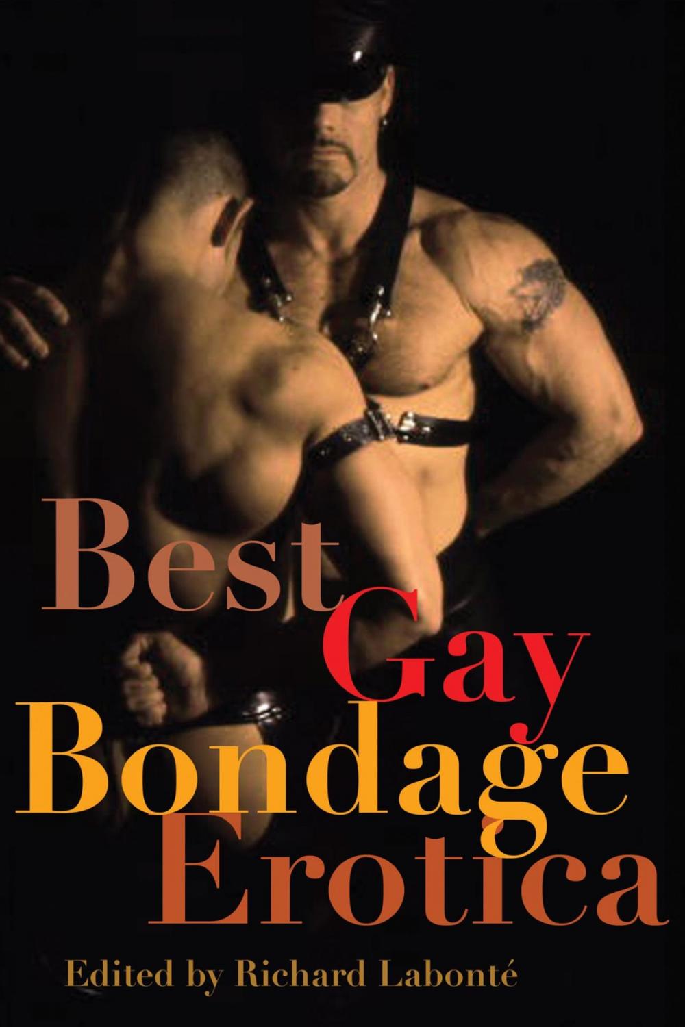 Big bigCover of Best Gay Bondage Erotica