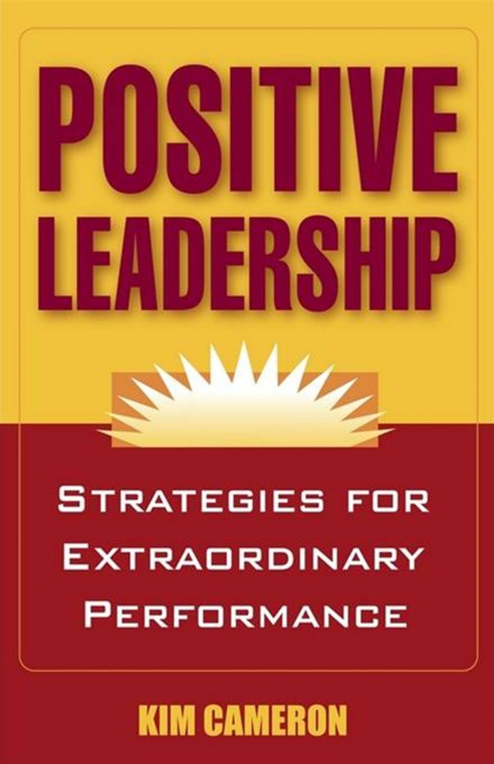 Big bigCover of Positive Leadership: Strategies for Extraordinary Performance