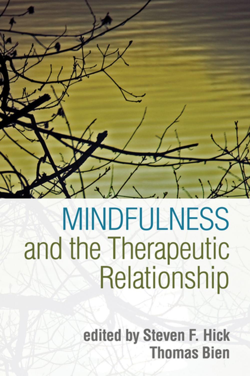 Big bigCover of Mindfulness and the Therapeutic Relationship