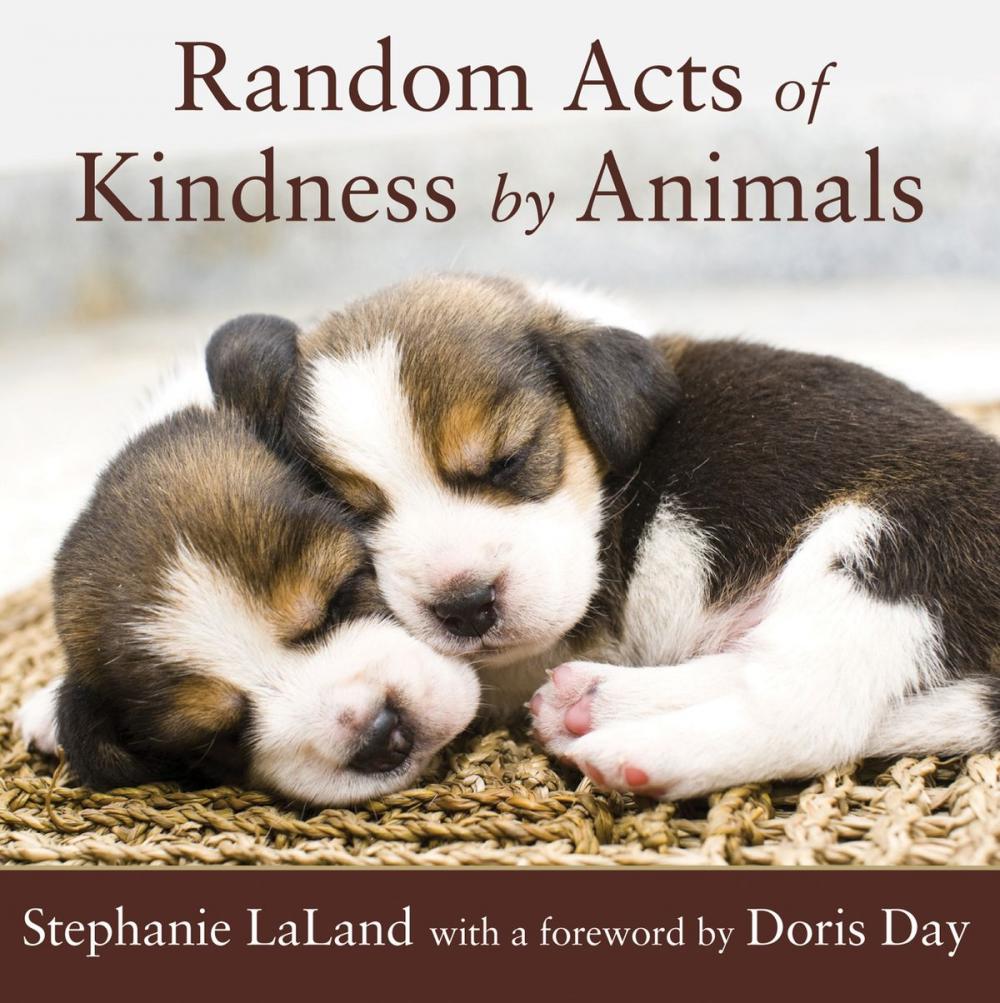 Big bigCover of Random Acts of Kindness by Animals