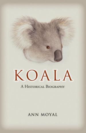 Cover of the book Koala by John Moran, Scott McDonald