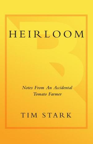 bigCover of the book Heirloom by 