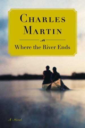 Book cover of Where the River Ends