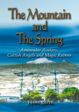 Cover of the book The Mountain and the Spring by J Towers