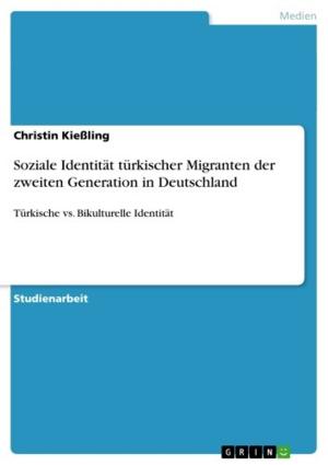 Cover of the book Soziale Identität türkischer Migranten der zweiten Generation in Deutschland by Stephan H. Schmidt
