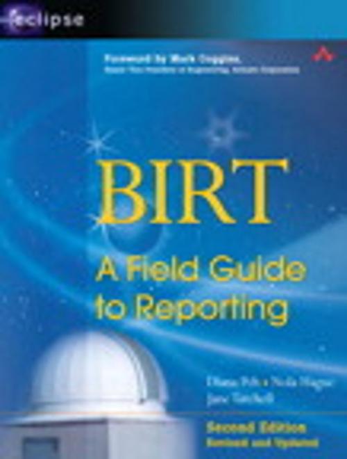 Cover of the book BIRT by Diana Peh, Nola Hague, Jane Tatchell, Pearson Education