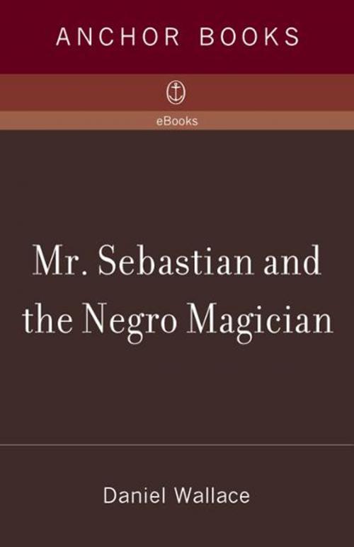 Cover of the book Mr. Sebastian and the Negro Magician by Daniel Wallace, Knopf Doubleday Publishing Group