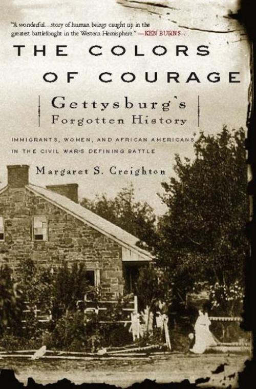 Cover of the book The Colors of Courage by Margaret S. Creighton, Basic Books