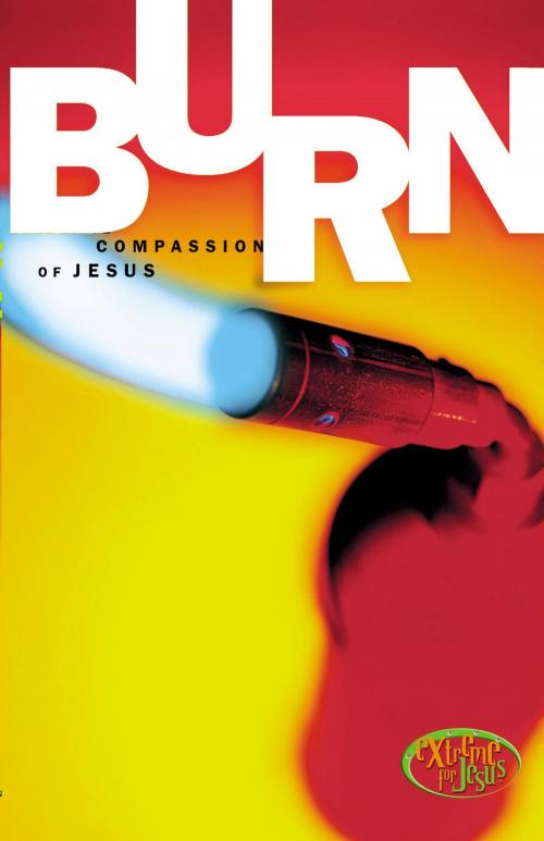 Cover of the book Burn by Brian Shipman, Thomas Nelson