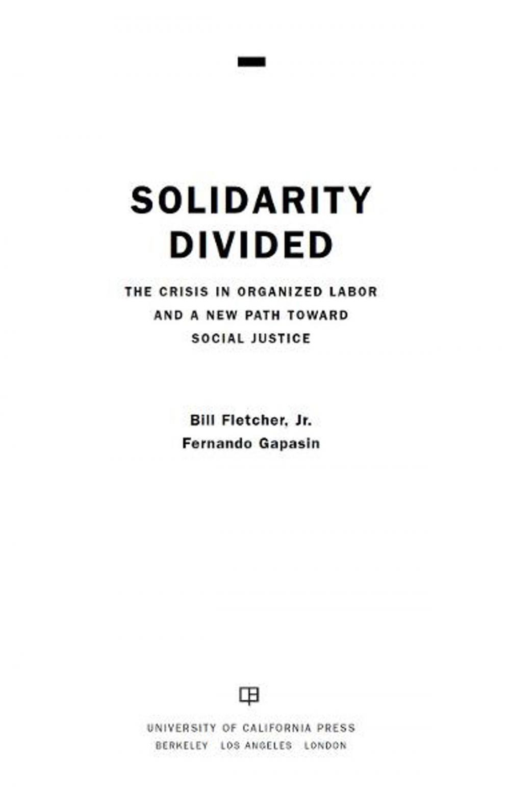 Big bigCover of Solidarity Divided