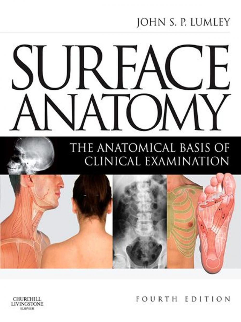 Big bigCover of Surface Anatomy - E-Book