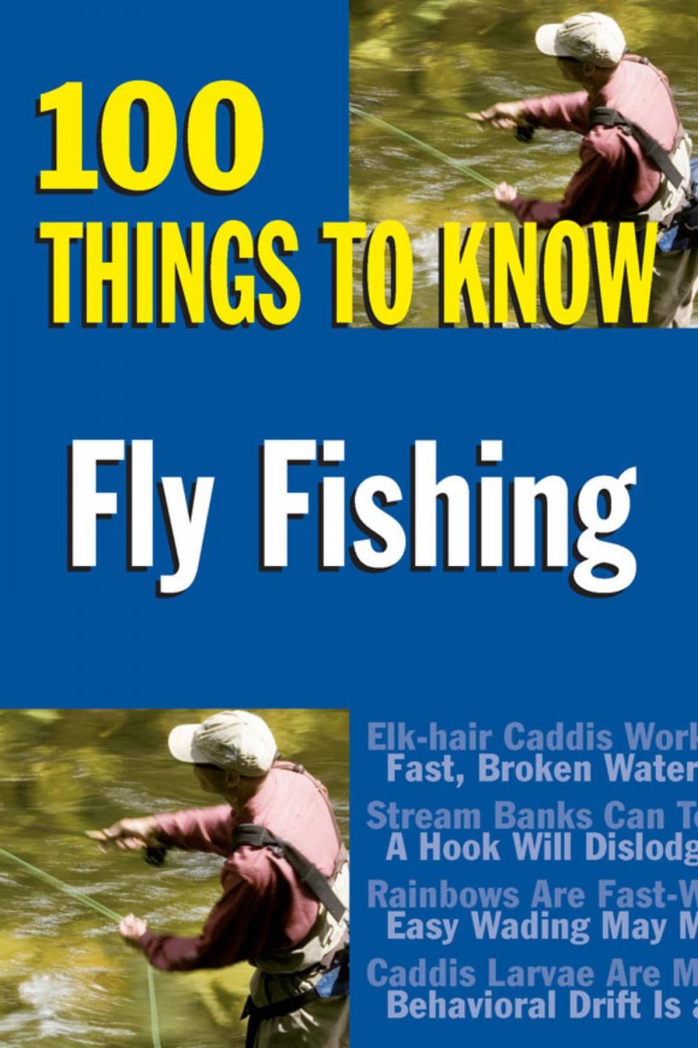 Big bigCover of Fly Fishing