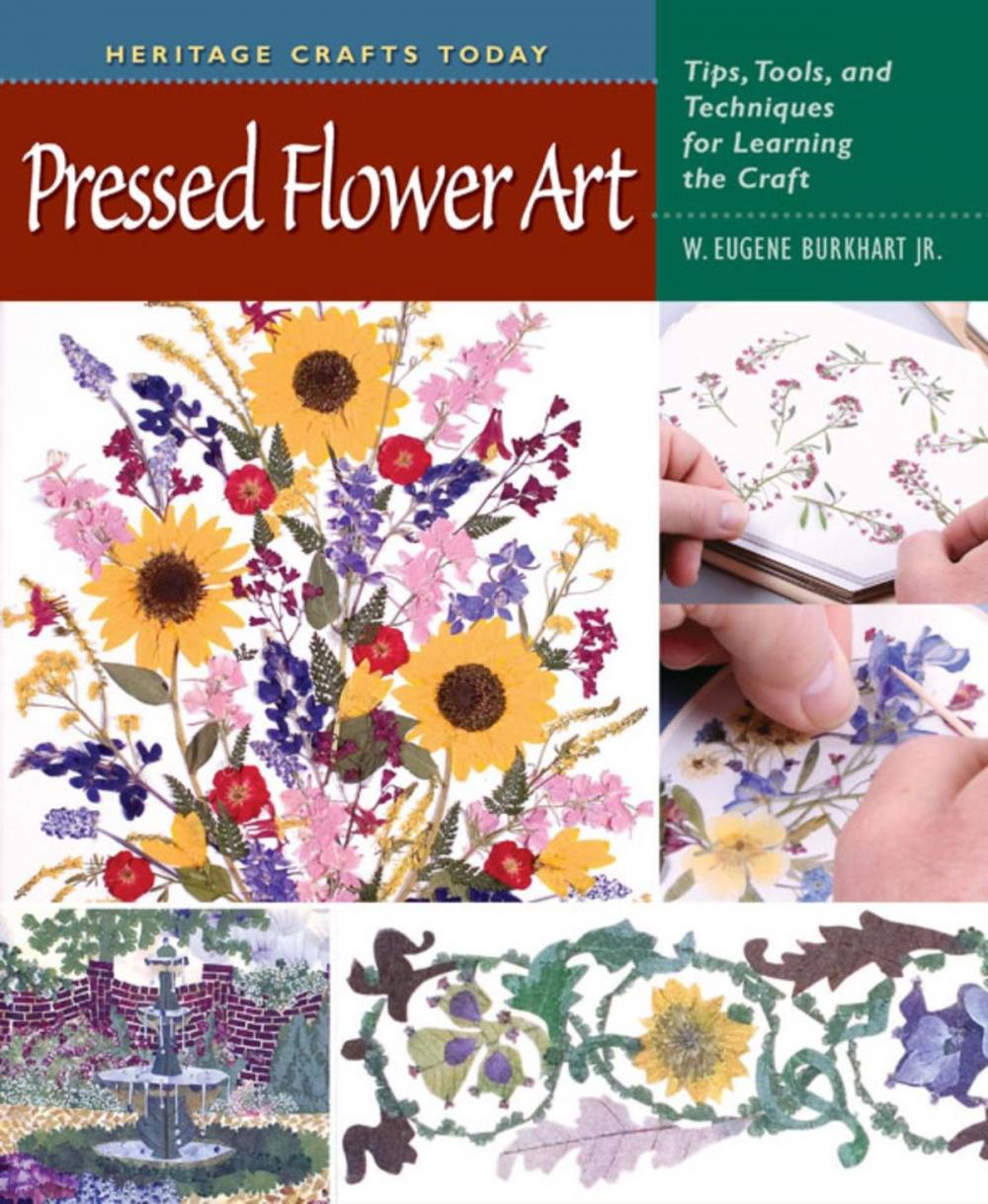 Big bigCover of Pressed Flower Art