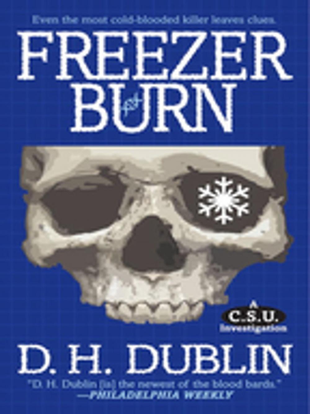 Big bigCover of Freezer Burn