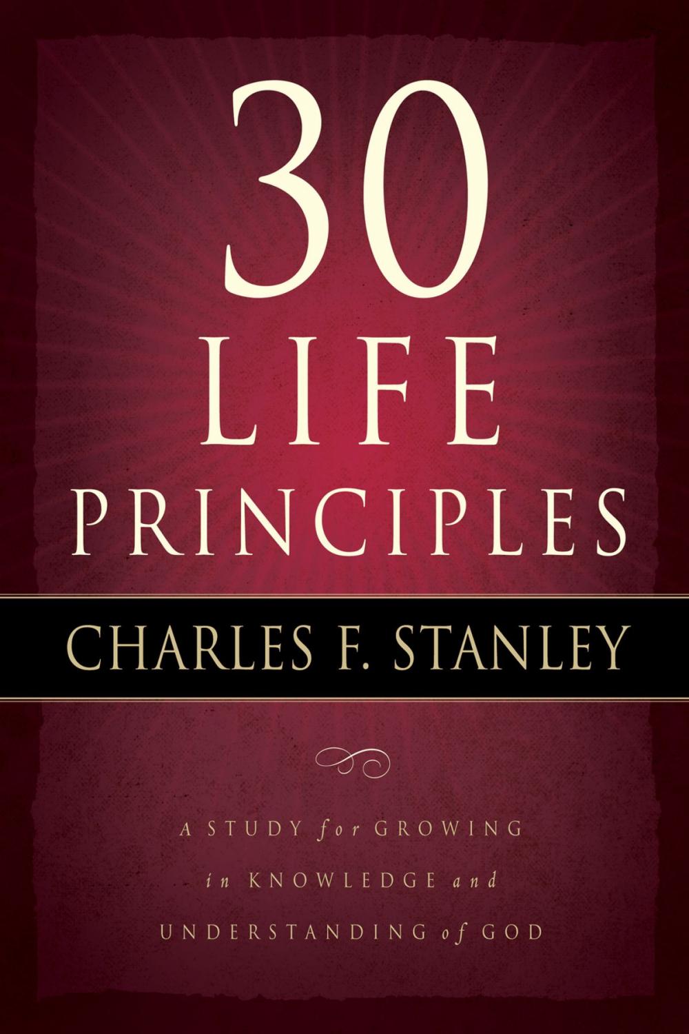 Big bigCover of 30 Life Principles