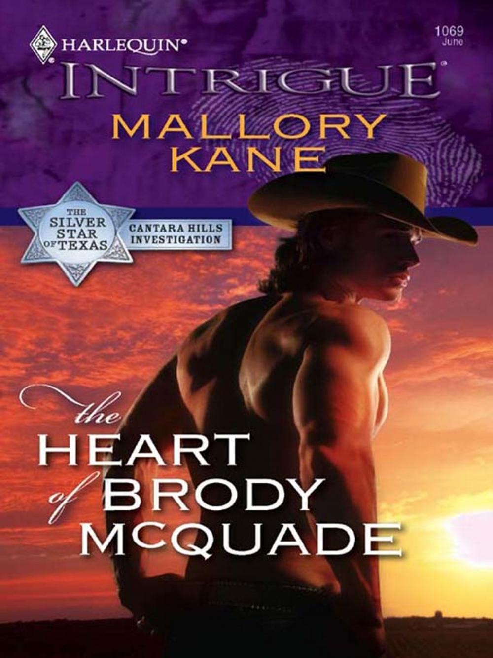 Big bigCover of The Heart of Brody McQuade