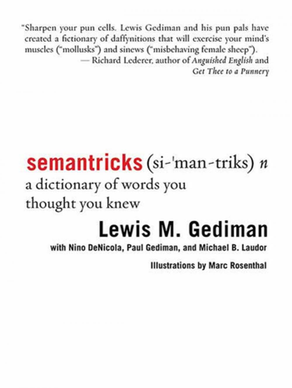 Big bigCover of Semantricks