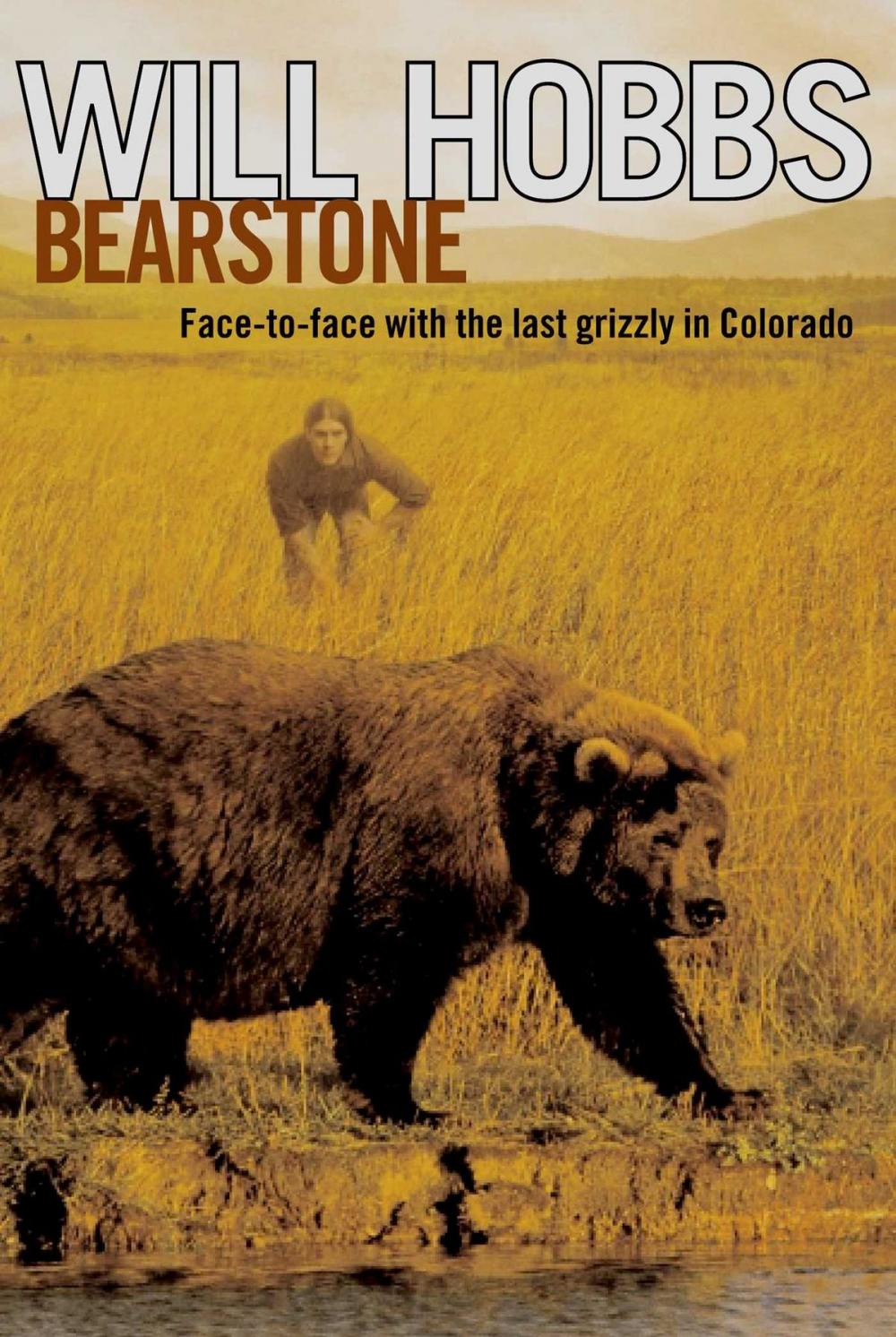 Big bigCover of Bearstone