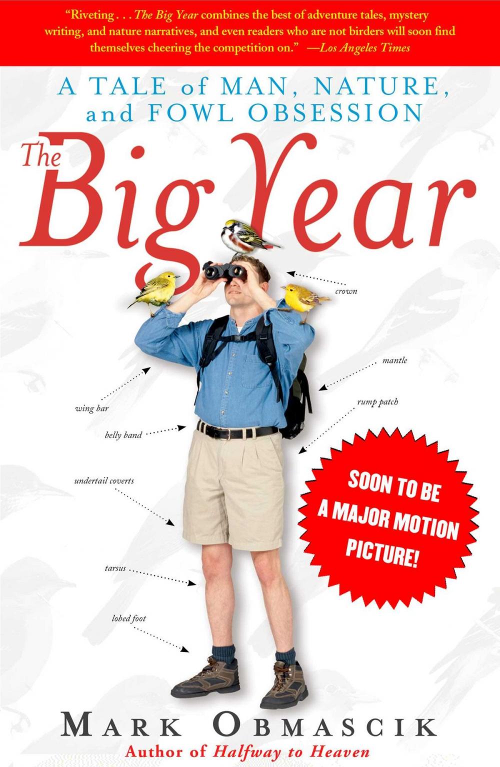 Big bigCover of The Big Year