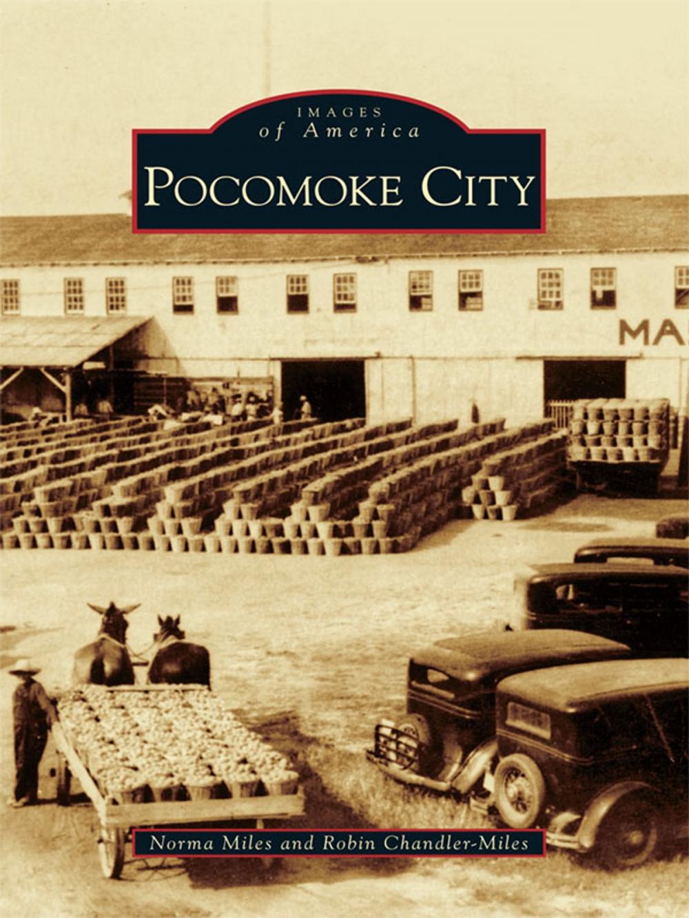 Big bigCover of Pocomoke City