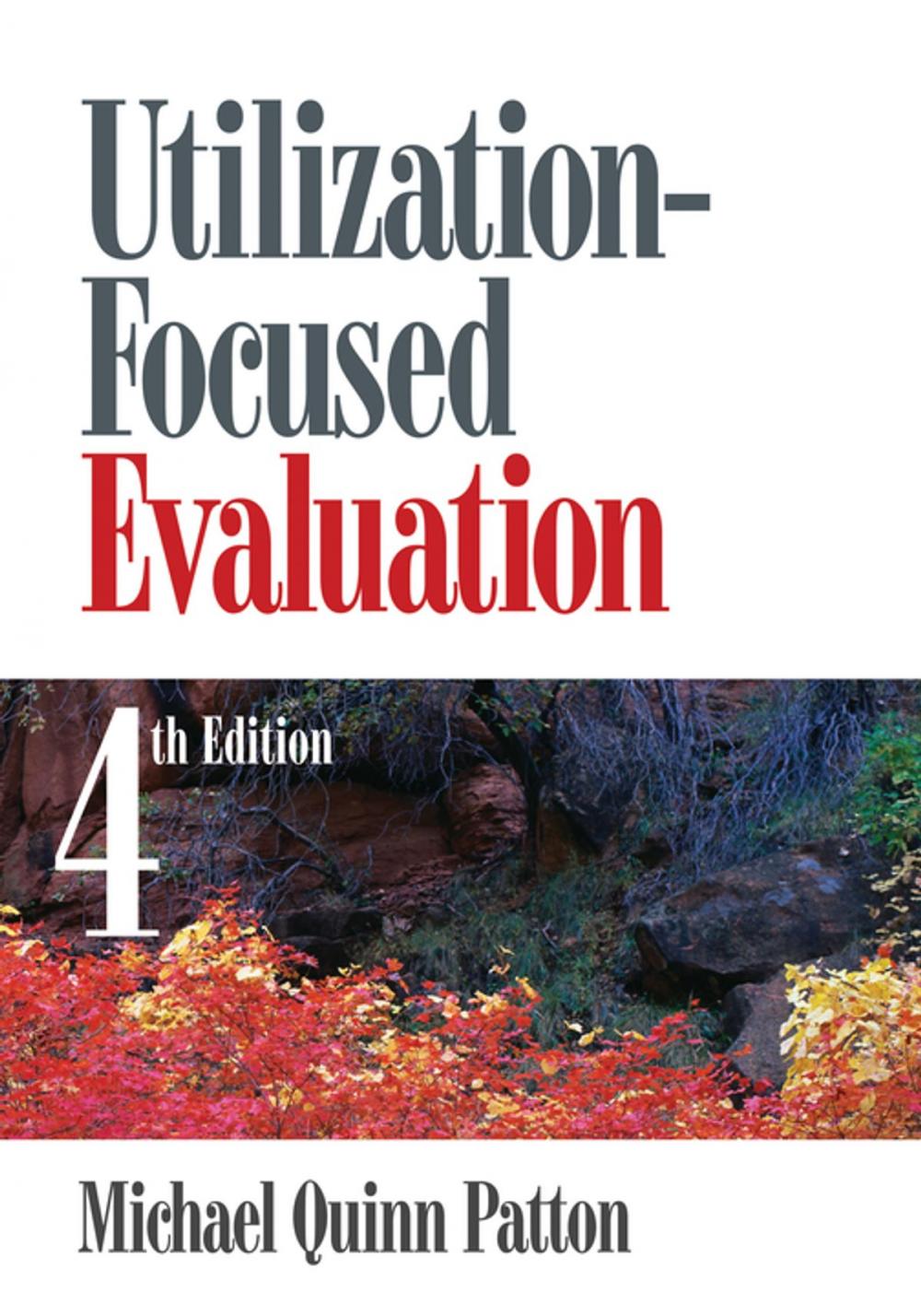 Big bigCover of Utilization-Focused Evaluation