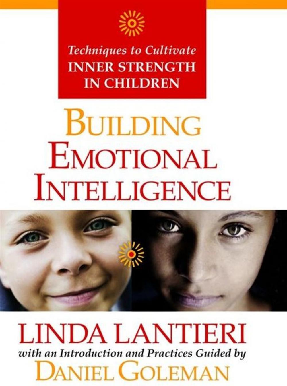 Big bigCover of Building Emotional Intelligence