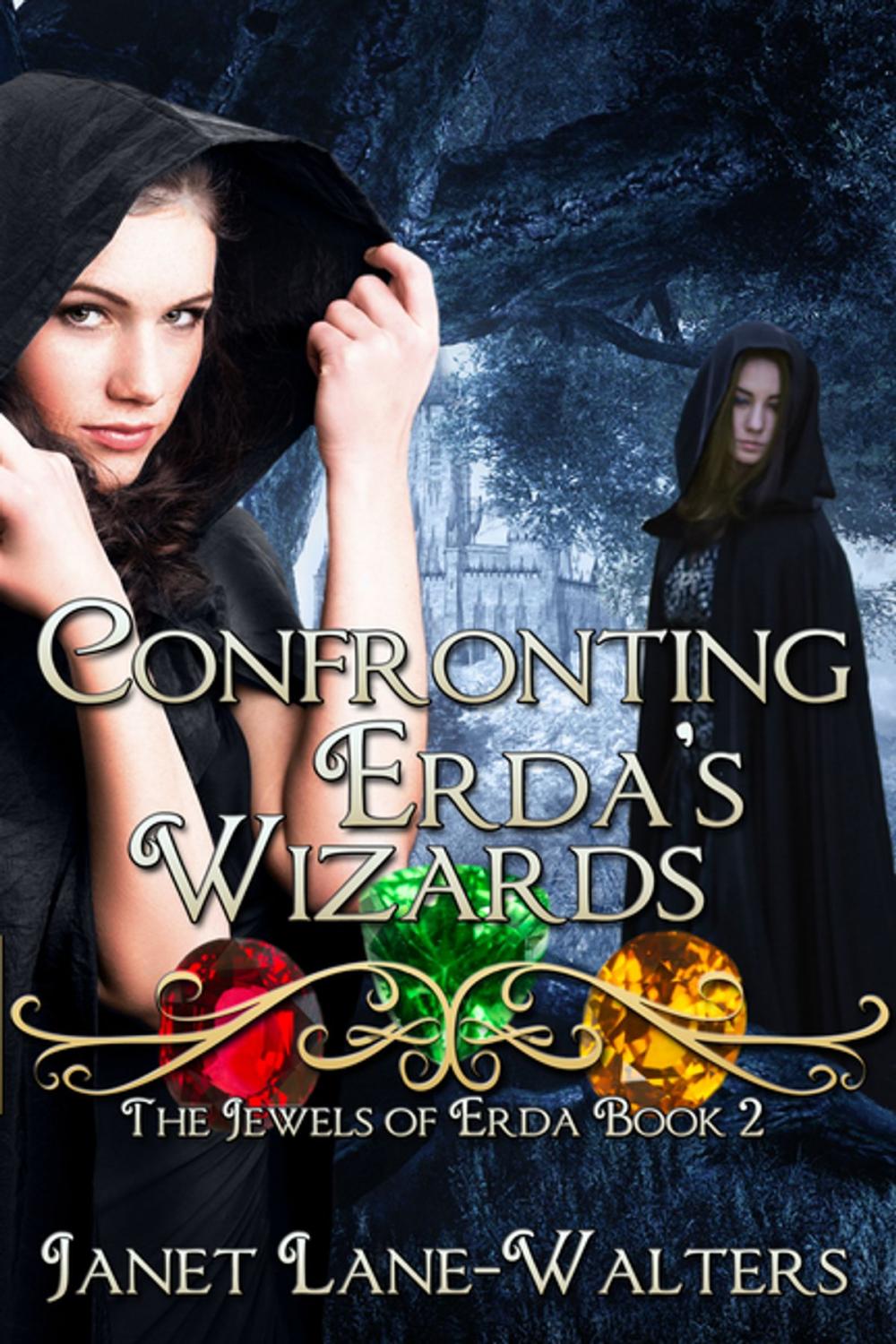 Big bigCover of Confronting Erda's Wizards