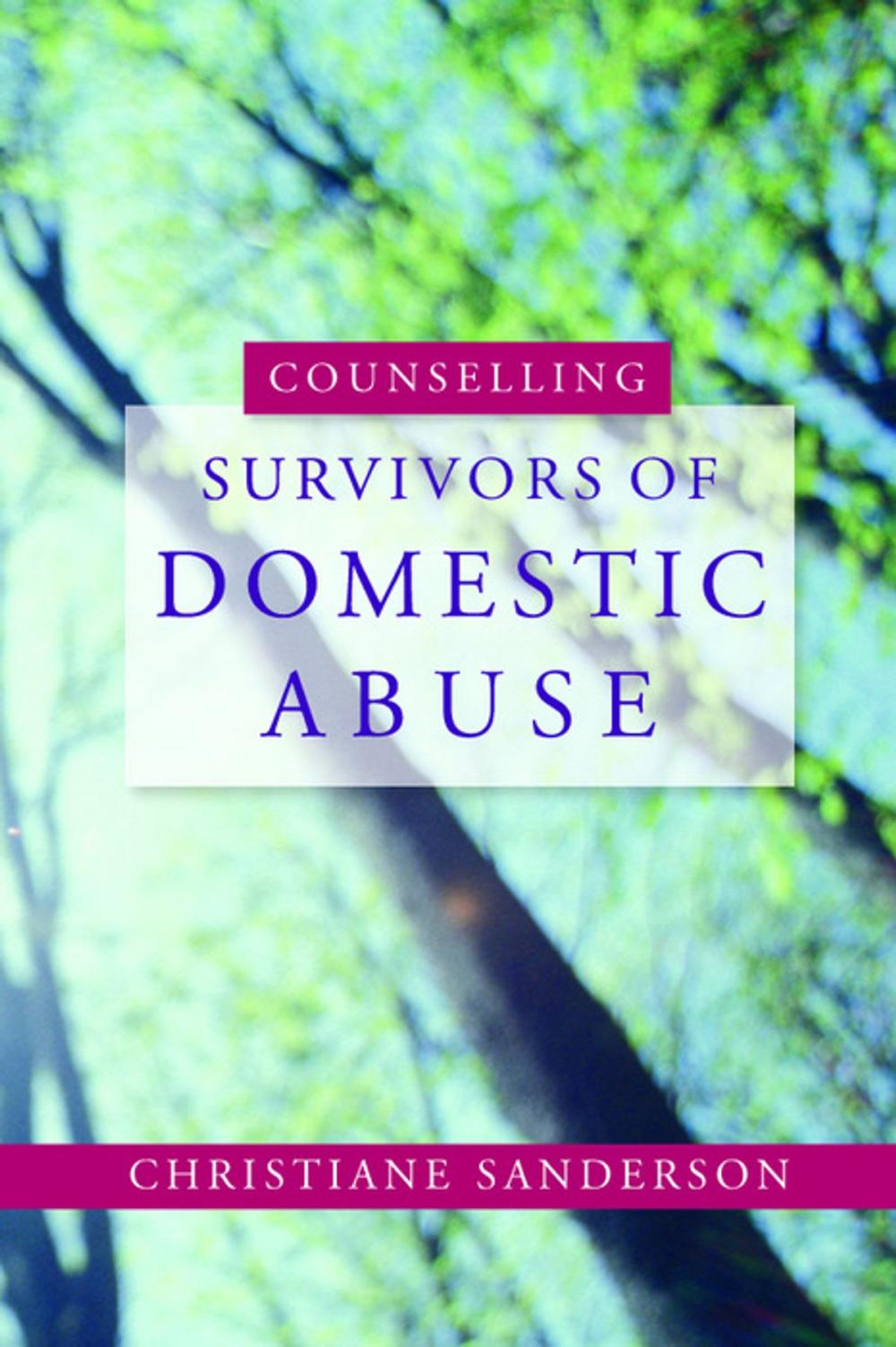 Big bigCover of Counselling Survivors of Domestic Abuse