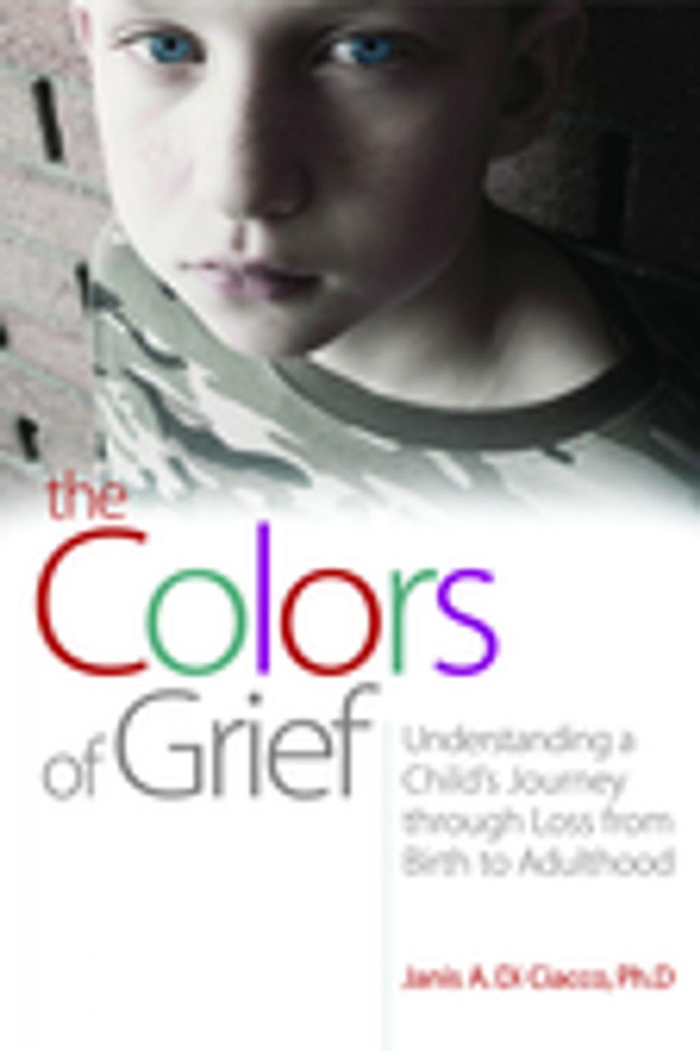 Big bigCover of The Colors of Grief