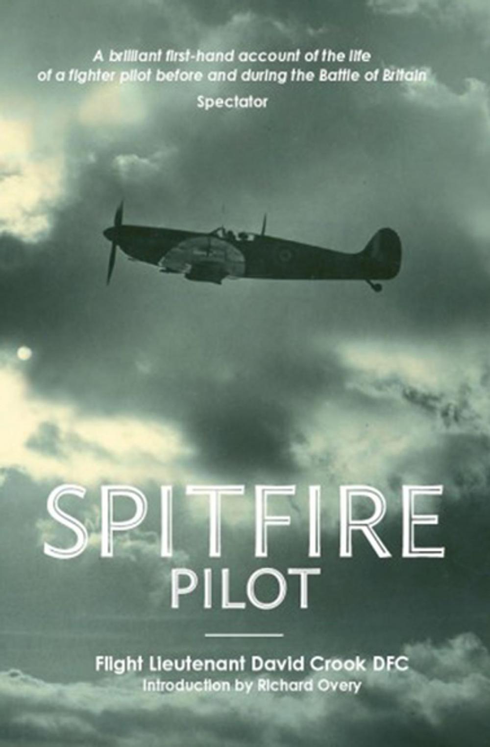 Big bigCover of Spitfire Pilot