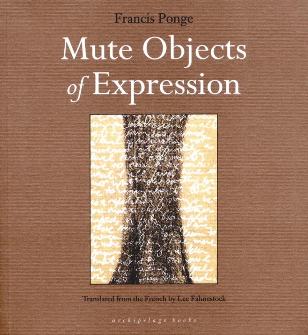 Big bigCover of Mute Objects of Expression