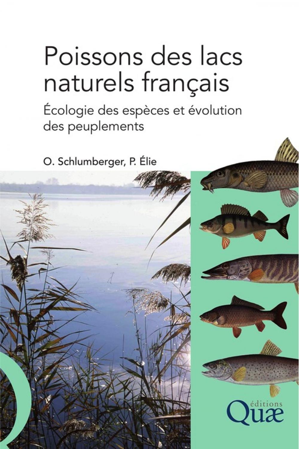 Big bigCover of Poissons des lacs naturels français