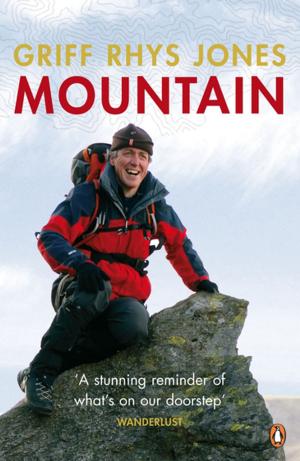 Cover of the book Mountain by Robert Drew