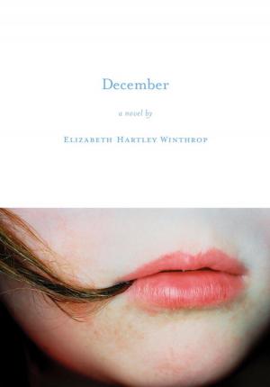 Cover of the book December by Jerry Z. Muller