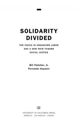 Cover of the book Solidarity Divided by Mariane C. Ferme