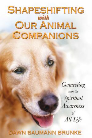 Cover of the book Shapeshifting with Our Animal Companions by Kazeem Olalekan