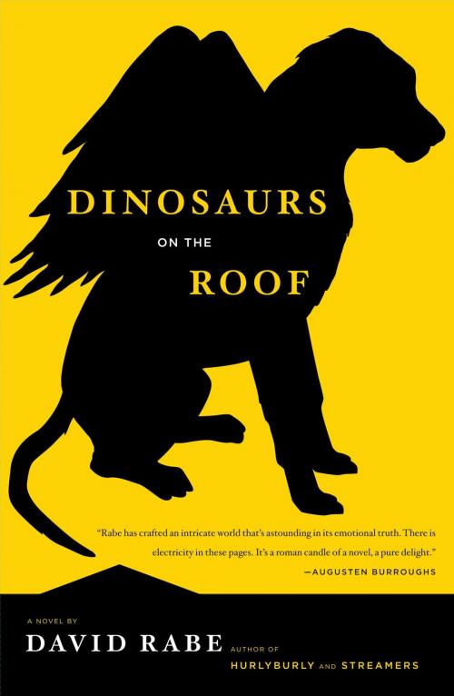 Cover of the book Dinosaurs on the Roof by David Rabe, Simon & Schuster