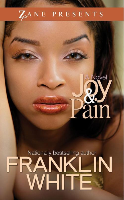 Cover of the book Joy & Pain by Franklin White, Strebor Books